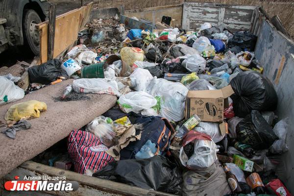С берега карьера у Ramada в Екатеринбурге за неделю вывезли 11 тонн мусора - Фото 1