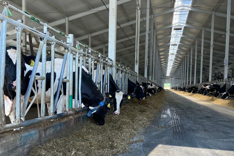 Свердловский сельхозпроизводитель при поддержке государства проводит модернизацию стоимостью 1 млрд рублей - Фото 1