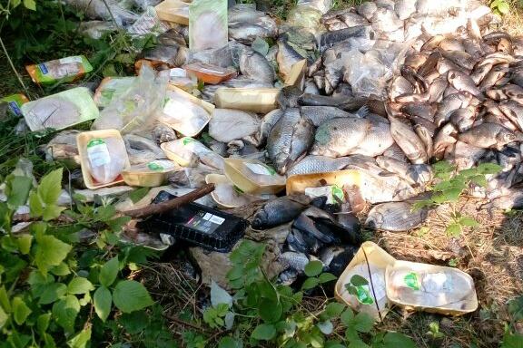 В Каменске-Уральском неизвестные выбросили в лесу сырую рыбу и куриные полуфабрикаты - Фото 1