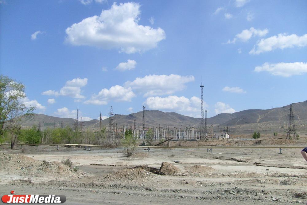 Ученые УрФУ выявили микроорганизмы, с помощью которых создадут биопрепарат для очистки почвы от тяжелых металлов - Фото 1