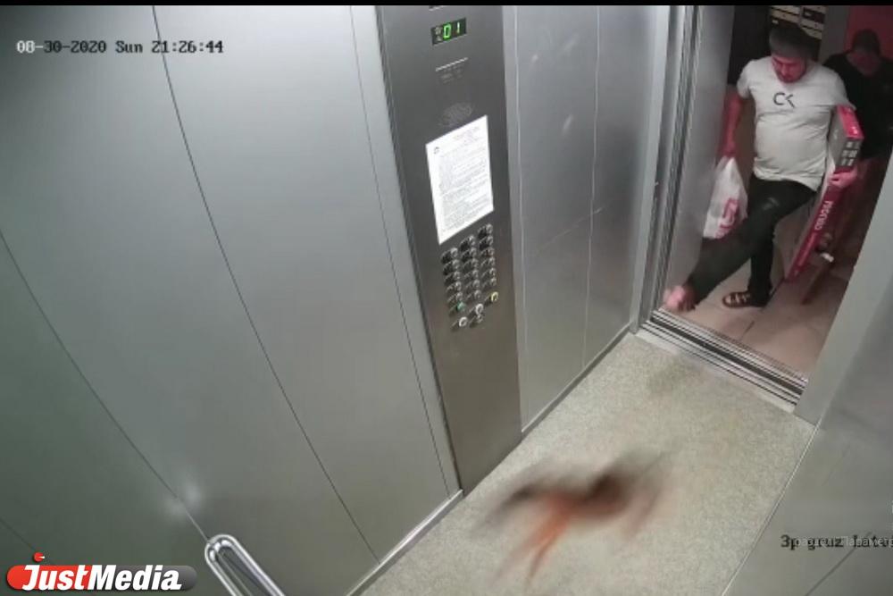 На Компрессорном жители пытаются наказать соседа, жестоко избившего собачку. ВИДЕО 18+ - Фото 1