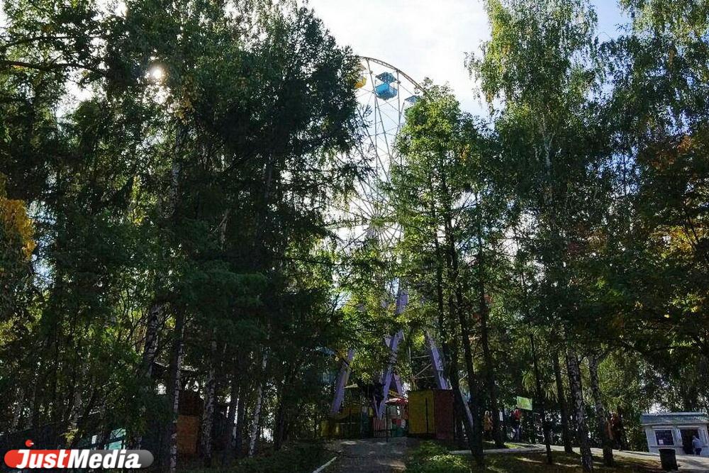 В ЦПКиО имени Маяковского заменят колесо обозрения - Фото 1