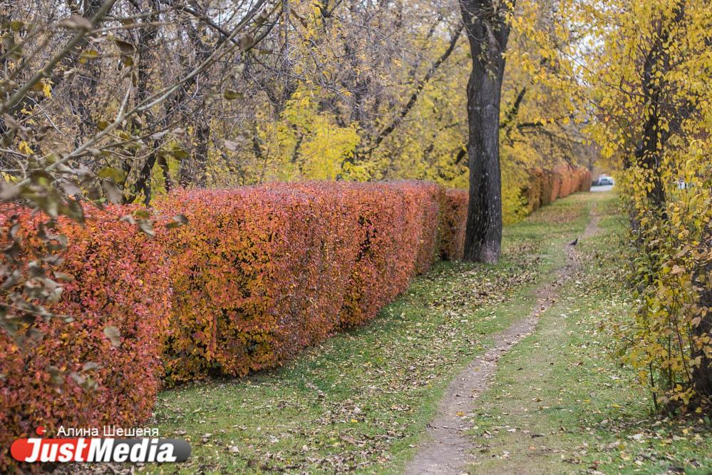 Теплая солнечная погода задержится в Екатеринбурге до конца недели - Фото 1