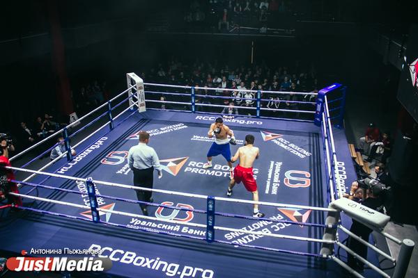 RCC Boxing Promotions готовят самый масштабный турнир года в Екатеринбурге - Фото 1