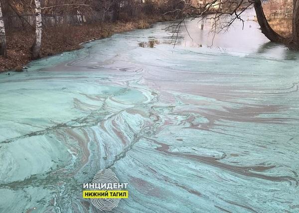 Река под Нижним Тагилом покрылась сине-зеленой пленкой - Фото 1