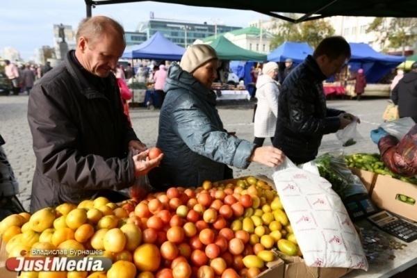 В выходные на площади 1905 года пройдет последняя этой осенью сельхозярмарка - Фото 1