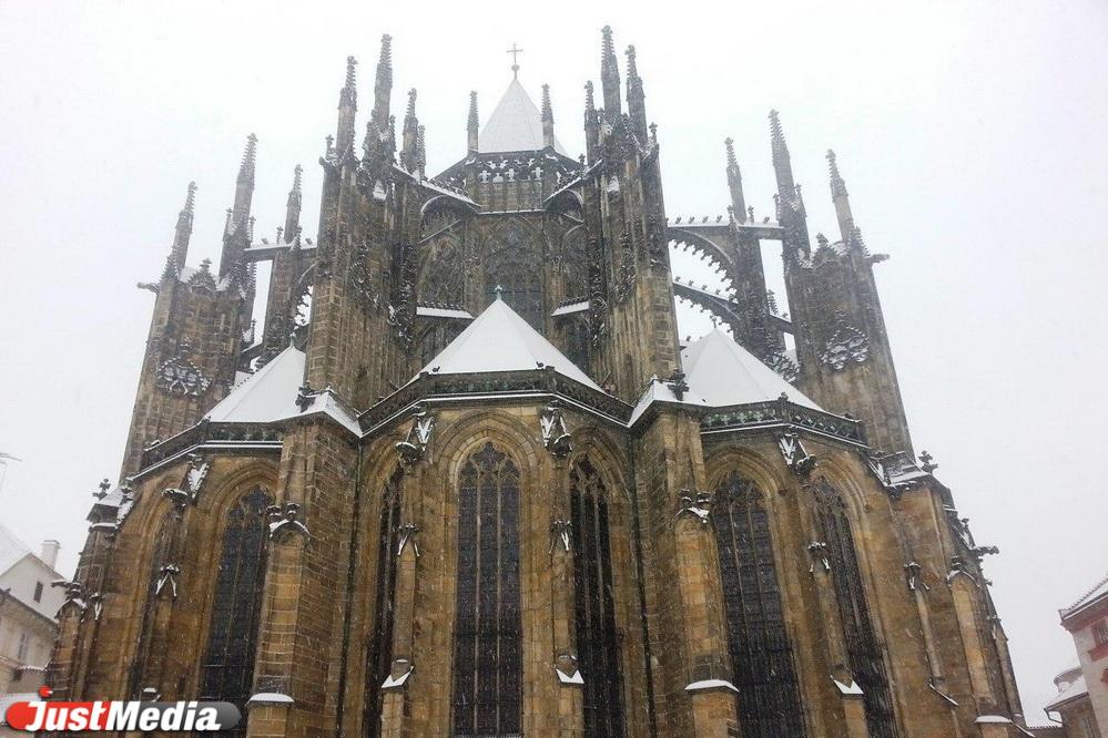 Студенты рассказали о преимуществах получения образования в Чехии - Фото 1