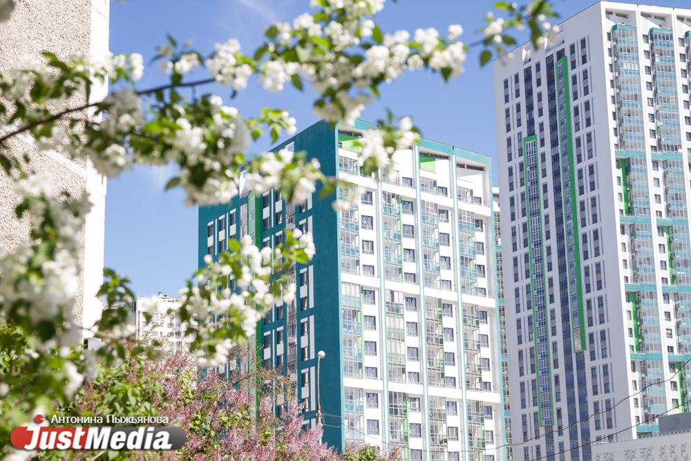 Посреди Ботанического сада УрО РАН появится многоэтажка - Фото 1