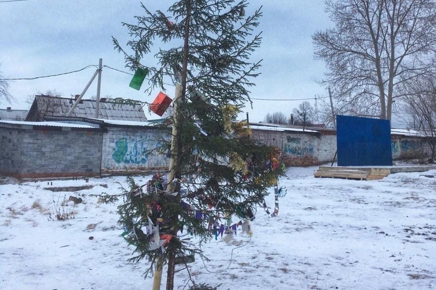 Елка-калека из Алапаевска попала в федеральную повестку - Фото 1