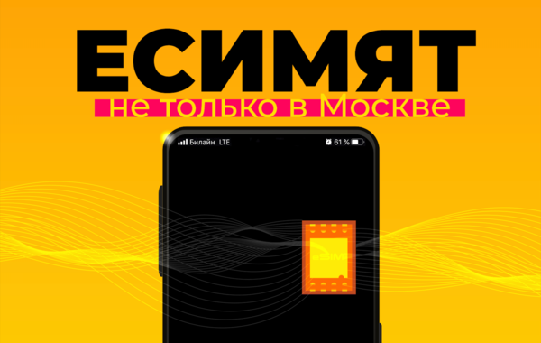 Билайн в Екатеринбурге начал подключать eSIM - Фото 1