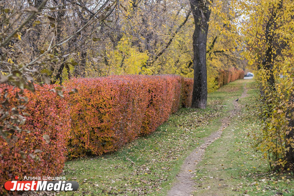 Теплая солнечная погода задержится в Екатеринбурге до конца недели - Фото 1