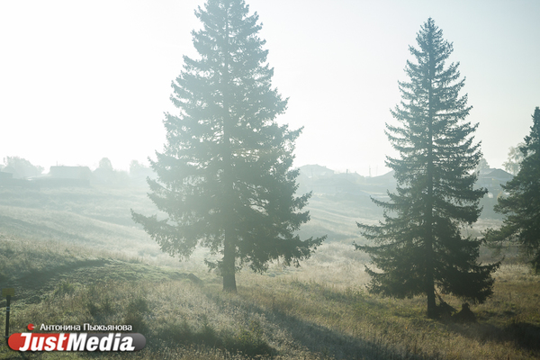 В Екатеринбурге туман задержал несколько самолетов в аэропорту Кольцово - Фото 1