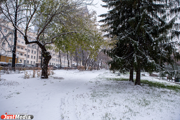 В Свердловской области похолодает и пойдет мокрый снег - Фото 1
