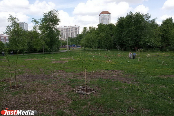 В парке УрГУПС начались строительные работы - Фото 1