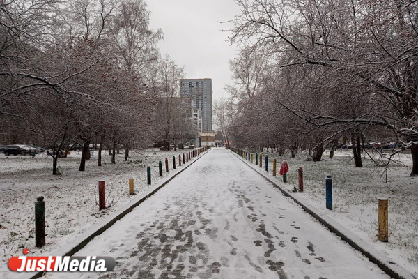 Социальные сети екатеринбуржцев наполнились снежными фотографиями - Фото 1