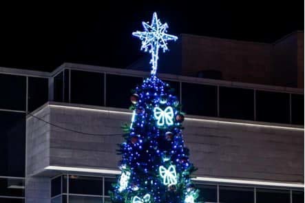 В Екатеринбурге перед входом в ТЮЗ установят 8-метровую елку с синими гирляндами - Фото 1