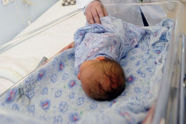 Десять пар двойняшек появились на свет в перинатальном центре Каменска-Уральского - Фото 1