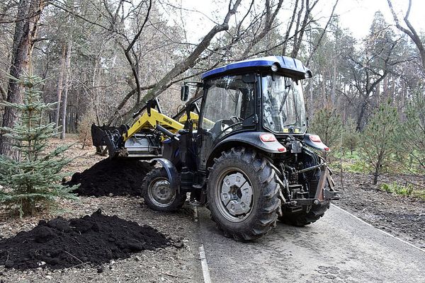 В Свердловской области в 2021 году благоустроят три лесопарка - Фото 1