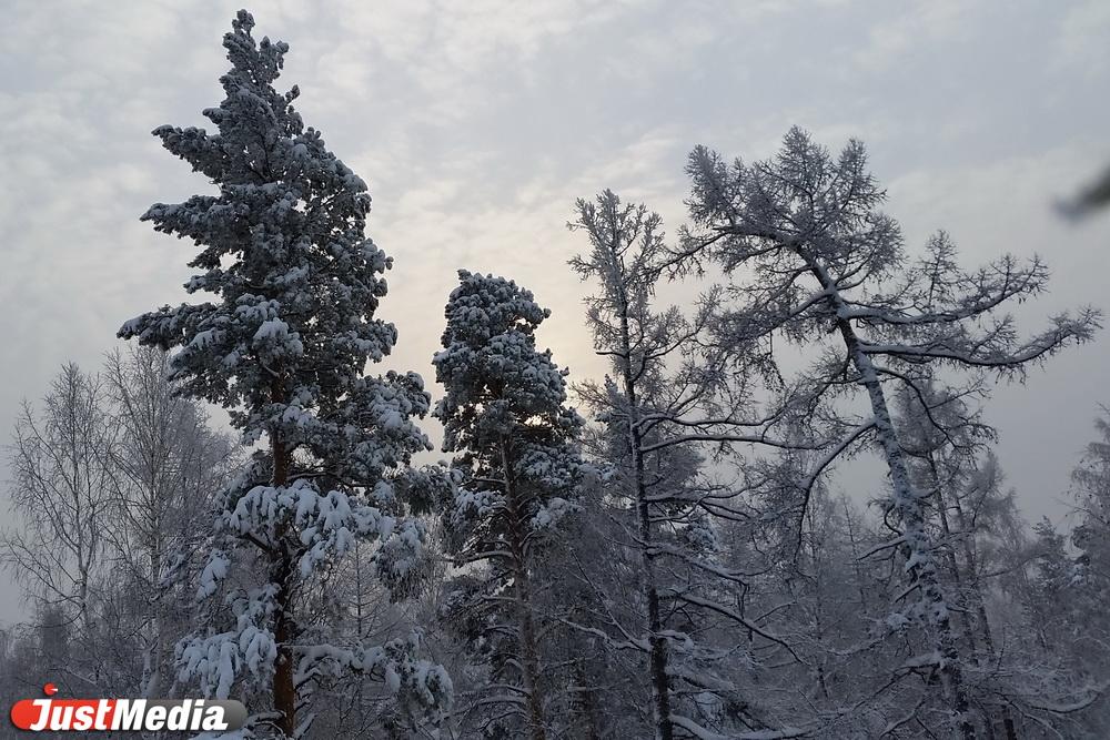 В Свердловской области ожидается до -35 градусов  - Фото 1