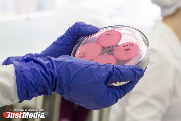 В Свердловской области зарегистрировано 369 новых случае заболевания COVID-19