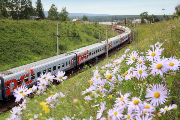 СвЖД направила на защиту окружающей среды в 2020 году более 150 млн рублей - Фото 1