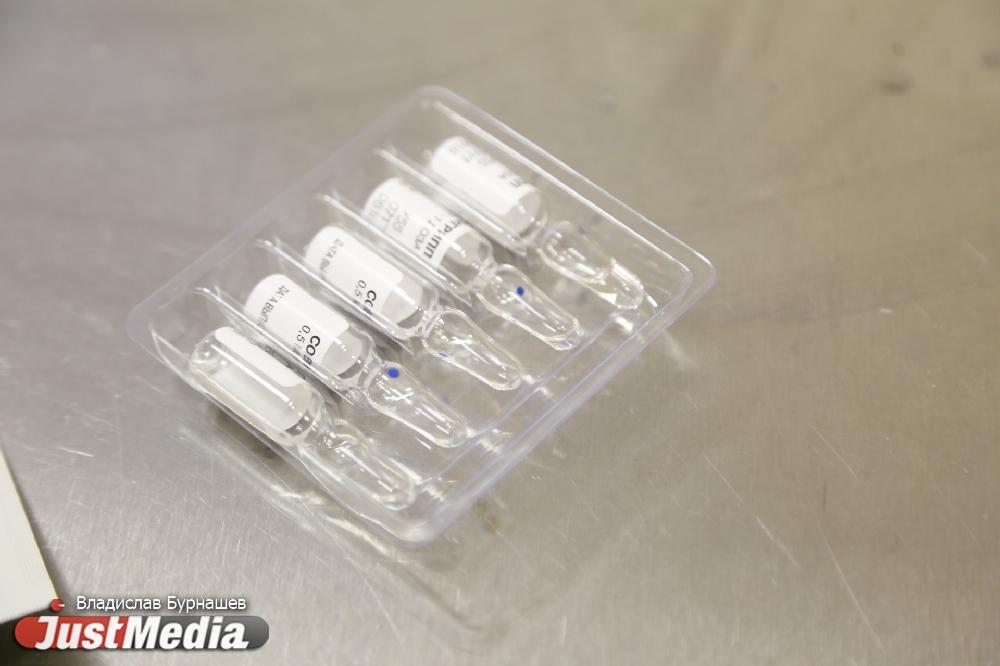 Власти Свердловской области планируют закончить основную кампанию по вакцинации от COVID-19 уже к лету 2021 года - Фото 1