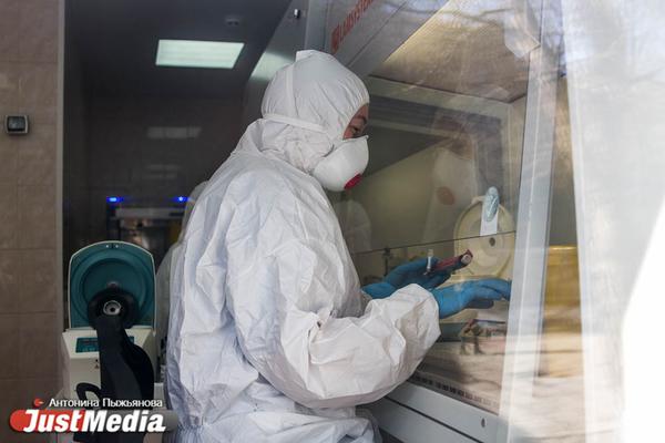 В Свердловской области за сутки выявили 131 новый случай COVID-19 - Фото 1