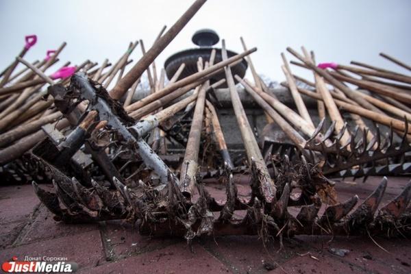 Евгений Куйвашев призвал свердловчан выйти на субботник - Фото 1