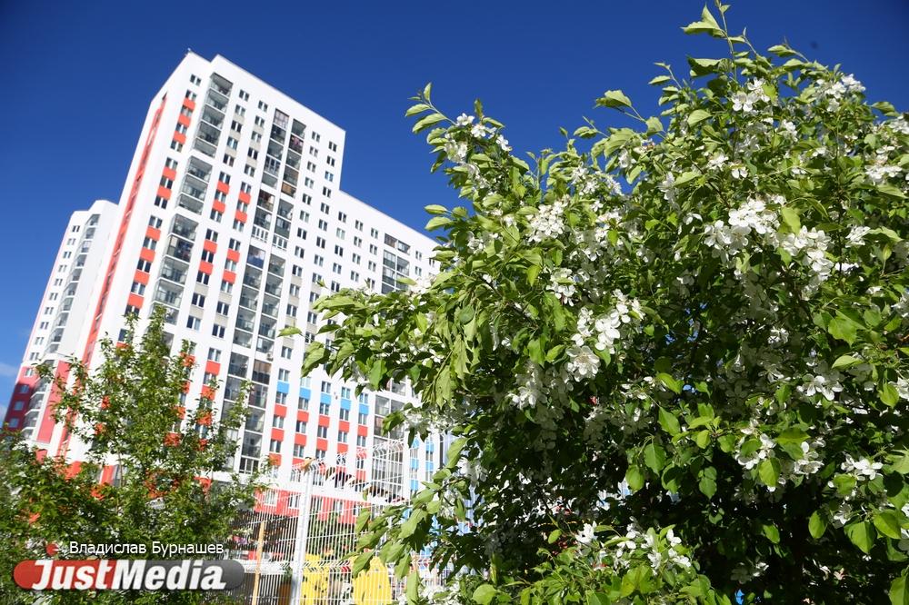 Для выделения Академического района администрация Екатеринбурга внесет изменения в городской устав - Фото 1