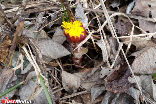 В Екатеринбурге будет тепло - Фото 1