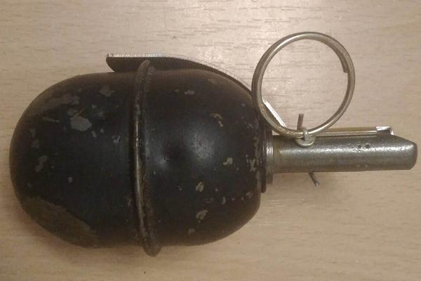 Следователи проверяют родственников новоуральца, который погиб с подругой от взрыва гранаты - Фото 1
