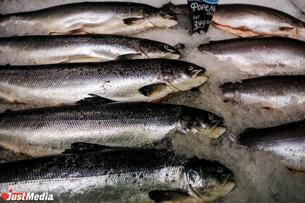 Евгений Куйвашев дал поручение по спасению уникальной форелевой фермы на Среднем Урале - Фото 1