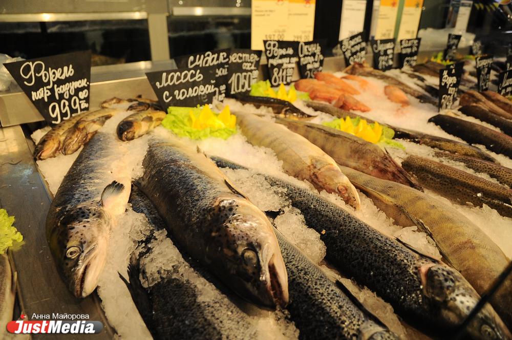 Природоохранная прокуратура вмешалась в конфликт рыбхоза и форелевой фермы, о котором писал глава Свердловской области - Фото 1