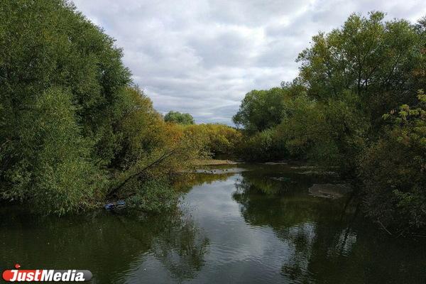 Вход с улицы Щорса в парк Маяковского могут обновить к 2024 году - Фото 1