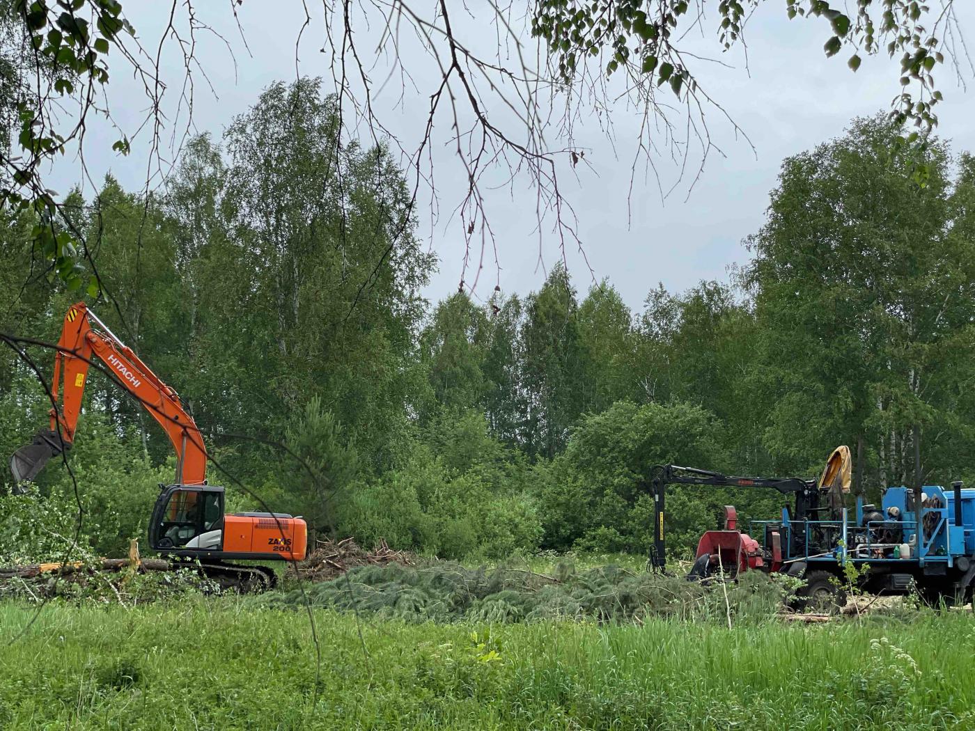 Жители элитного коттеджного поселка «Заповедник» пожаловались в прокуратуру на массовую вырубку деревьев - Фото 1