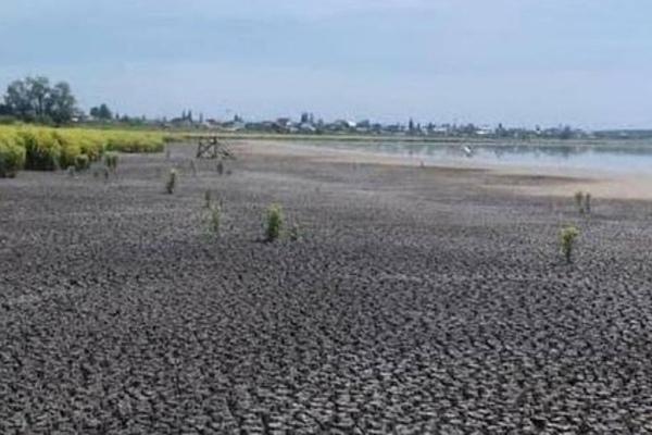На восстановление озера Щелкун под Сысертью постараются выделить деньги из федерального бюджета - Фото 1