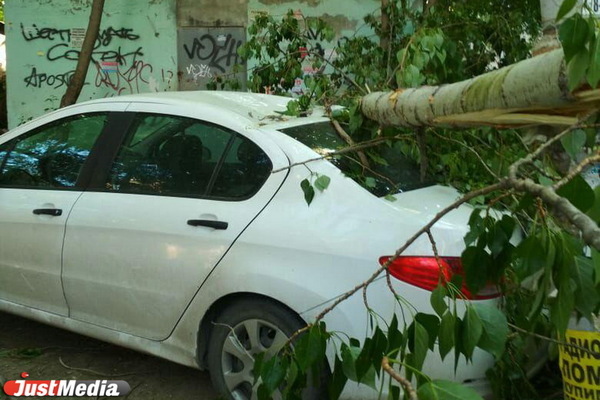 Жара в Свердловской области на день уступит грозе, граду и сильному ветру - Фото 1