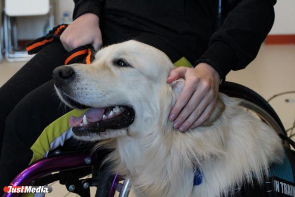 Инклюзивный социокультурный проект «Социополис» показал отличные результаты - Фото 1