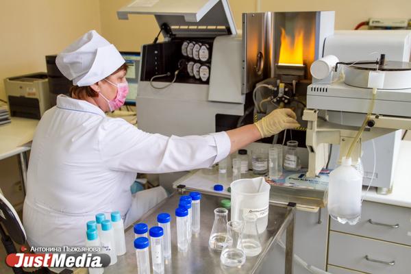 В Свердловской области за сутки подтвердилось 490 новых случаев коронавируса - Фото 1