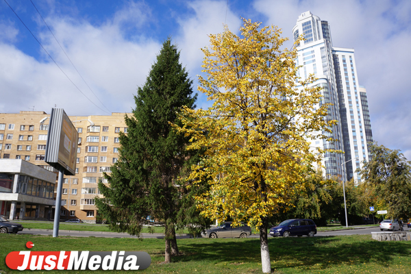 В Екатеринбурге три сквера стали памятниками ландшафтной архитектуры - Фото 1