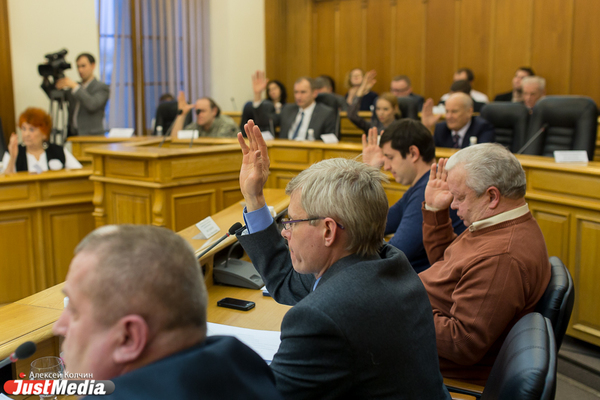 В Общественной палате Екатеринбурга доизбрали 11 новых членов - Фото 1