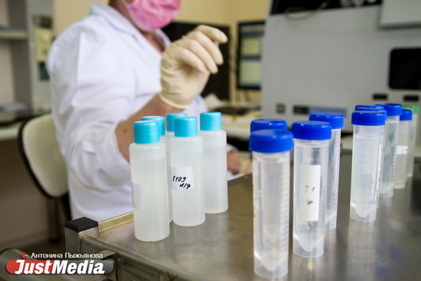 Свердловский оперштаб подтвердил еще 14 случаев смерти от коронавируса - Фото 1