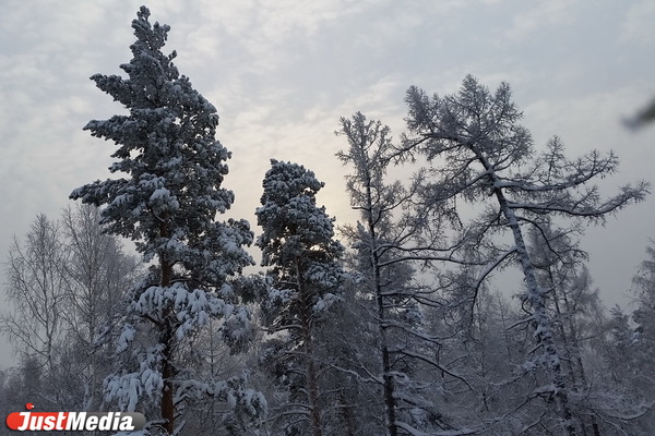 Морозы продержатся в Свердловской области до выходных - Фото 1