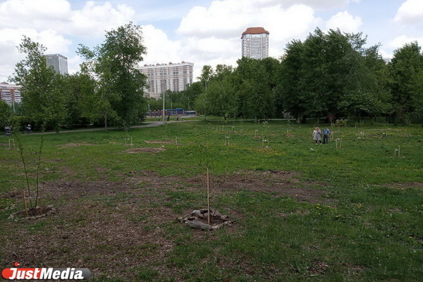 Парк УрГУПС закроют от жителей двухметровым забором - Фото 1