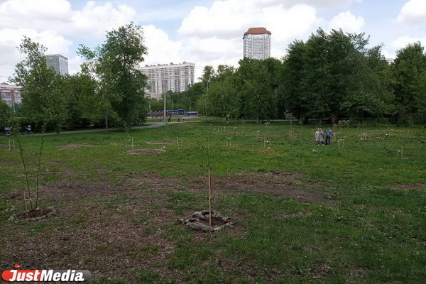 Руководство УрГУПС прокомментировало строительство забора вокруг парка - Фото 1