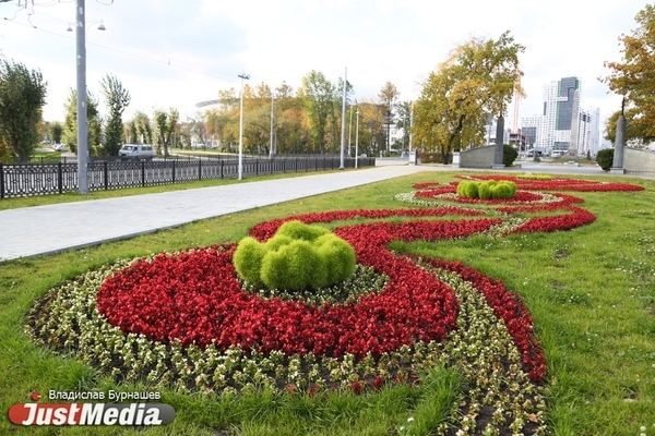 Парк имени 50-летия ВЛКСМ изменится - Фото 1
