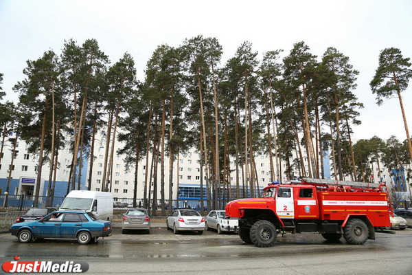 В Екатеринбурге отменили противопожарный режим - Фото 1
