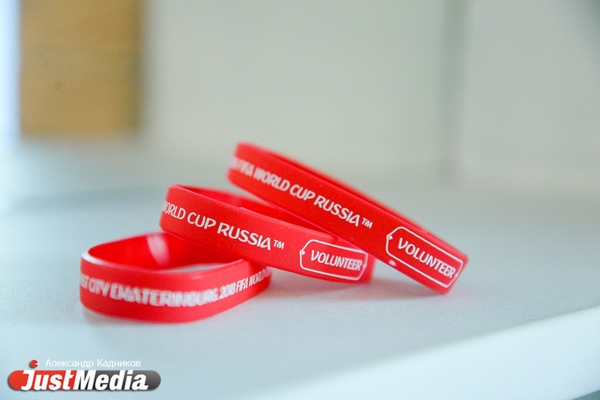 Свердловские волонтеры создали свой сайт для праймериз ЕР - Фото 1