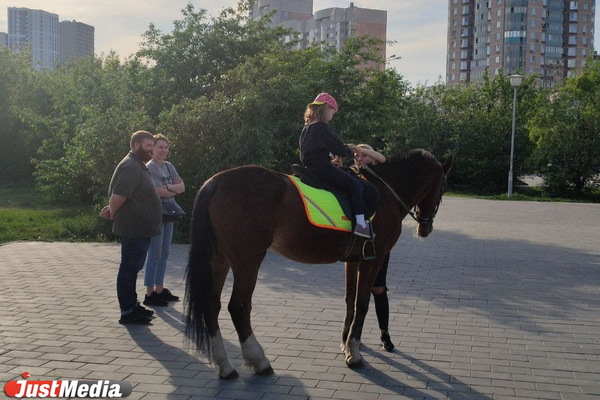 «Я маленькая лошадка, и мне живется не сладко». Парки и площади Екатеринбурга наводнили незаконные предприниматели с лошадьми - Фото 1
