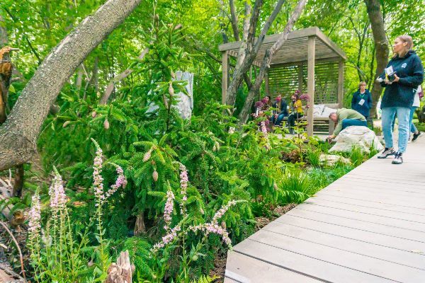 Парковку на площади 1905 года закроют почти на месяц - Фото 1